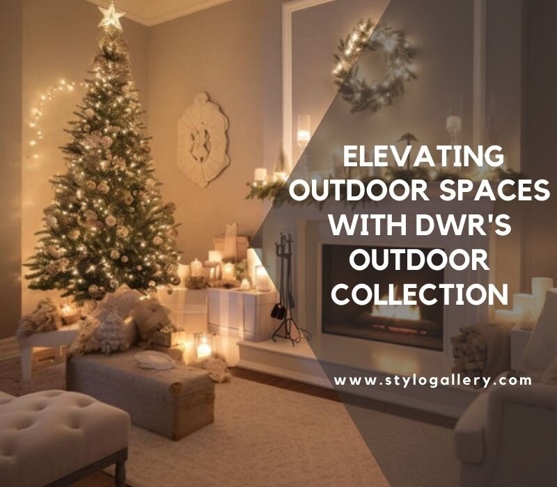  Elevating Outdoor Spaces with DWR's Outdoor Collection